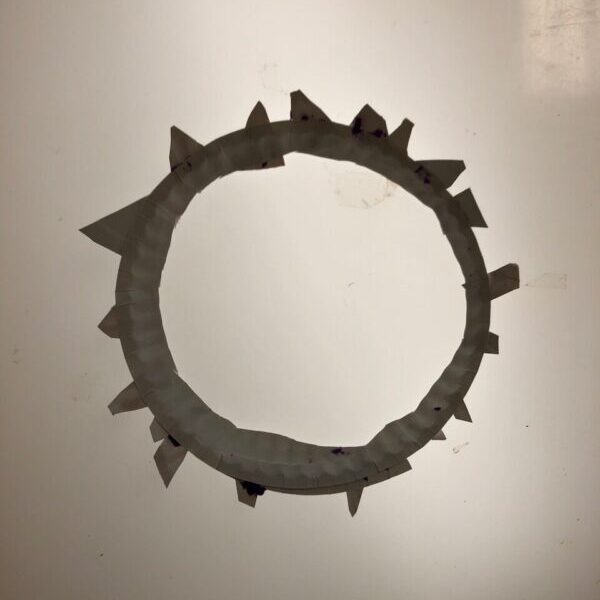 A king's crown made by cutting out the center of plate and adding fringe.