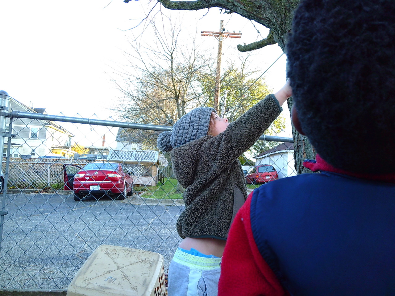 Watching another child help Mr. Tom.